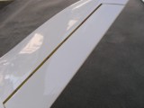 detailslw_hawk_small.jpg
